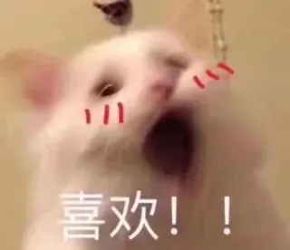 😍 9eec88fd 喜欢！！ cat, cute, meme, animal, joy, happy telegram sticker