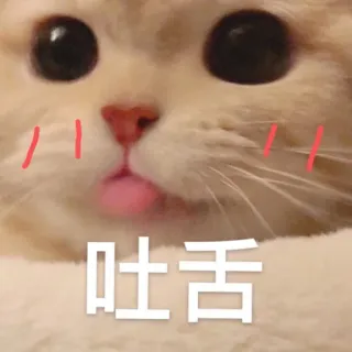 😛 af41acf7 吐舌 cat, tongue, cute, kawaii, emoji, sticker telegram sticker