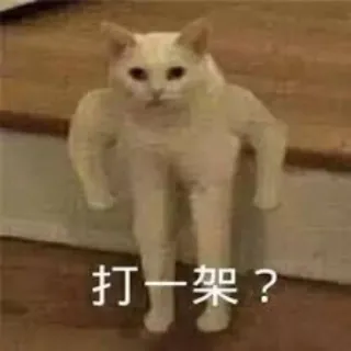 😤 c1b26f22 打一架？ cat, meme, funny, animal telegram sticker