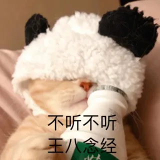 😤 c41cddab 不听不听
王八念经 cat, meme, funny, chinese text, panda hat, kitty telegram sticker