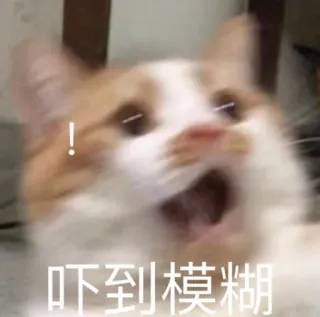 😱 d65b54ab 吓到模糊 cat, shocked, meme, expression, blurred, startled telegram sticker
