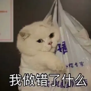 🥺 fc04db95 我做错了什么 cat, cute, meme, animal, sad, question telegram sticker