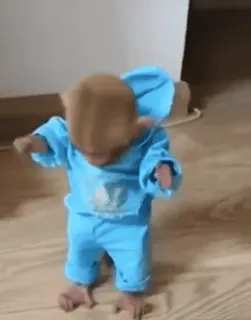 👦 9b2c85fe Affe, Tier, Kleidung, süß, Menschenaffe, lustig telegram sticker