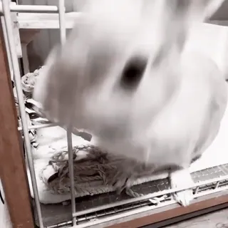 🍧 e2712d6a telegram sticker