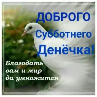 🔆 40a672e7 ДОБРОГО Субботнего Денёчка!
Благодать вам и мир да умножится merpati, sabtu, hari baik, berkah, perdamaian, salam telegram sticker