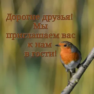 @emojis4 telegram stickers