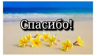 🔆 badfb3df Спасибо! terima kasih, pantai, bunga, rusia, syukur, samudra telegram sticker