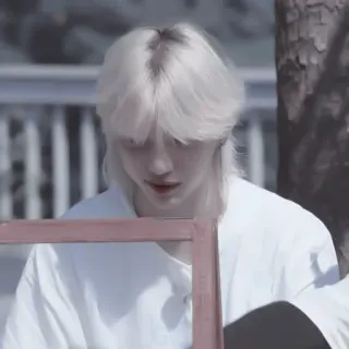 🕷 cc656f0f telegram sticker