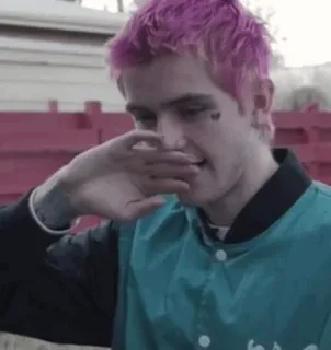 🐣 121adb38 Lil Peep lil peep, музыкант, рэпер, певец, эмо, розовые волосы, портрет whatsapp sticker