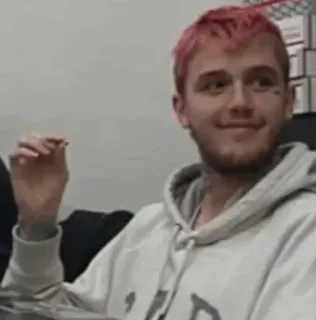 🐣 d766df0d Lil Peep lil peep, рэпер, музыкант, певец, портрет whatsapp sticker