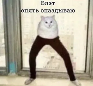 😥 7774551b Блэт
опять опаздываю 고양이, 바지, 러시아어, 유머, 웃긴 whatsapp sticker