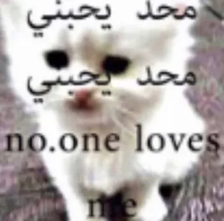 🤷‍♂ 9ea1e0ec محد يحبني محد يحبني
no.one loves me 고양이, 슬픈, 밈, 아랍어, 아무도나를사랑하지않아 whatsapp sticker