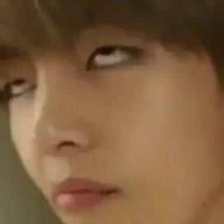 🏁 246c58b4 telegram sticker