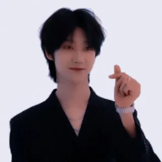 🐸 20839d47 ritratto, uomo, maschio, kpop, cantante whatsapp sticker