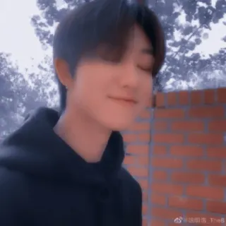 🐸 8ed262b3 whatsapp sticker