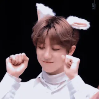 🐸 c1f017a1 orecchie da coniglio, carino, K-Pop whatsapp sticker