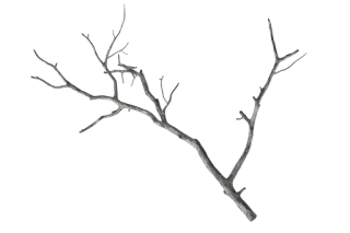 XIII ‘ @vtt31s :: @fStikBot whatsapp stickers