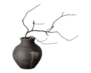 ✉️ cb9e423c 꽃병, 가지, 도자기, 장식, 정물 telegram sticker