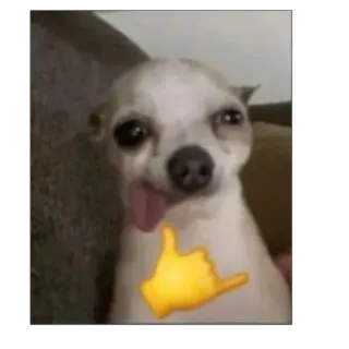 🤙 2afeb686 Hund, Emoji, Tier, Meme telegram sticker