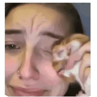 🥲 34d19b82 telegram sticker