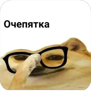 👎 7335f761 Очепятка Hund, Brille, Meme, lustig telegram sticker