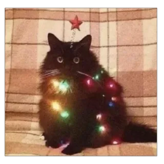 🎄 85af2035 Katze, Weihnachten, Weihnachtsbeleuchtung, Haustier, Tier, süß, festlich, Dekoration telegram sticker