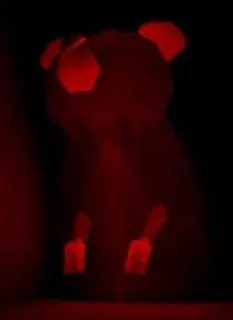 😱 67048029 telegram sticker