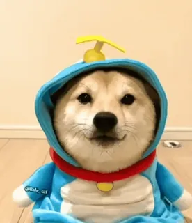 Больше стиков тут: @stikery4 telegram stickers