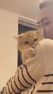 🤣 b62e7085 telegram sticker