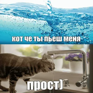💔 0efe5556 кот че ты пьеш меня прост) Katze, Wasser, Meme, Trinken, Lustig, Tier telegram sticker