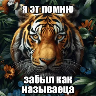 Больше стиков тут: @stikery4 telegram stickers