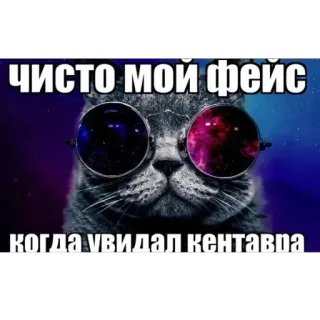 🫥 a37453ef чисто мой фейс
когда увидал кентавра Katze, Brille, Meme, Russisch, Galaxie, Lustig telegram sticker