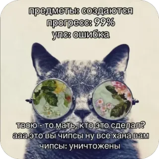 🫥 aa7a62d0 предметы: создаются
прогресс: 99%
упс: ошибка
твою - то мать, кто это сделал?
ааа это вы чипсы ну все хана вам
чипсы: уничтожены Katze, Brille, Fehler, lustig, Humor telegram sticker