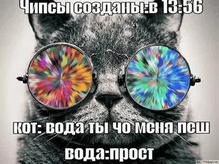 👁️ c18de6bf чипсы созданы:в 13:56
кот: вода ты чо меня пеш
вода:прост Katze, Brille, lustig, Humor, Meme telegram sticker