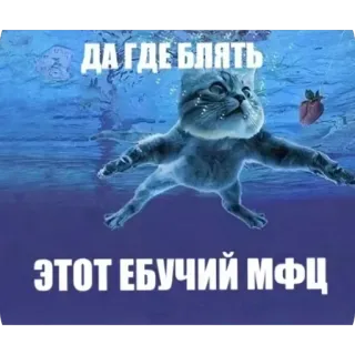 🫥 d7df209c ДА ГДЕ БЛЯТЬ
ЭТОТ ЕБУЧИЙ МФЦ Katze, Meme, Lustig, Russisch, Obszönität telegram sticker