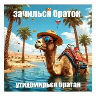 Больше стиков тут: @stikery4 telegram stickers