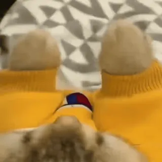 😊 efacc2e4 whatsapp sticker