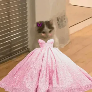 🍋 ba487604 cat, kitten, dress, pink, cute, animal, butterfly telegram sticker