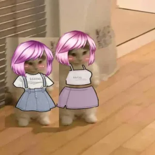 🍋 ba602bf5 SSEENO RAFDG cat, meme, animal, cute, funny telegram sticker