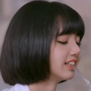 🌟 82c519e6 Lisa (Blackpink) kpop, лиса, blackpink, певица, корейский telegram sticker