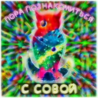 🦉 40127e7c ПОРА ПОЗНАКОМИТЬСЯ
С СОВОЙ 猫头鹰, 迷幻, 彩色, 文字, 俄语, 动物, 卡通 telegram sticker