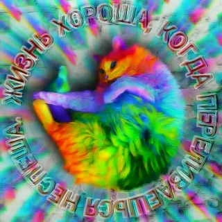 🍭 79ba3a9d ЖИЗНЬ ХОРОША, КОГДА ПЕРЕЖИВАЕТСЯ ЛЕГКО И НЕ СПЕША. 猫, 彩虹, 彩色, 俄语, 生活, 好, 容易, 慢 telegram sticker