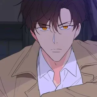 🐈‍⬛ 221e6427 Mann, Figur, Anime, Zeichnung, Porträt whatsapp sticker