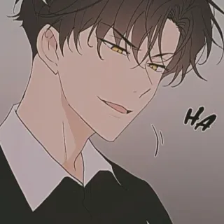 🐈‍⬛ 4f37048c HA Cartoon, Anime, Grinsen, Listig, Ha, Ausdruck whatsapp sticker