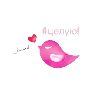 😘 1959f6ae #целую! นก, หัวใจ, จูบ, ความรัก, สีชมพู, สวัสดี telegram sticker