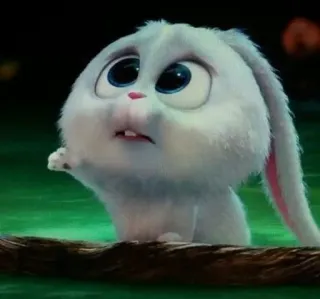 😢 968b45a7 Snowball The Secret Life of Pets rabbit, bunny, cute, animal, pet, cartoon, animated, character telegram sticker