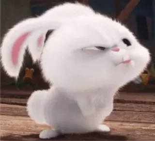 😤 e6b255e0 Snowball The Secret Life of Pets bunny, rabbit, cute, animal, fluffy, pet telegram sticker