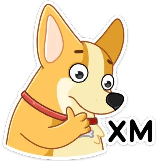 🤔 595957f4 XM pies, corgi, zwierzę, zwierzak, kreskówka, naklejka telegram sticker