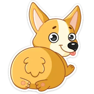🍑 ac39753c corgi, pies, zwierzę, słodki, naklejka, kreskówka telegram sticker