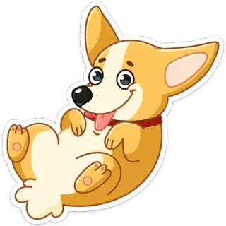 🥎 d98d937d corgi, cane, animale, carino, animale domestico, cartone animato whatsapp sticker